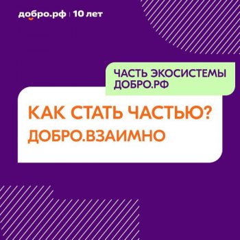 «Я не волонтер, но хочу помогать!»