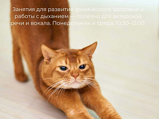 Учись, встречайся, помогай: афиша на эту неделю 🍂 ☀